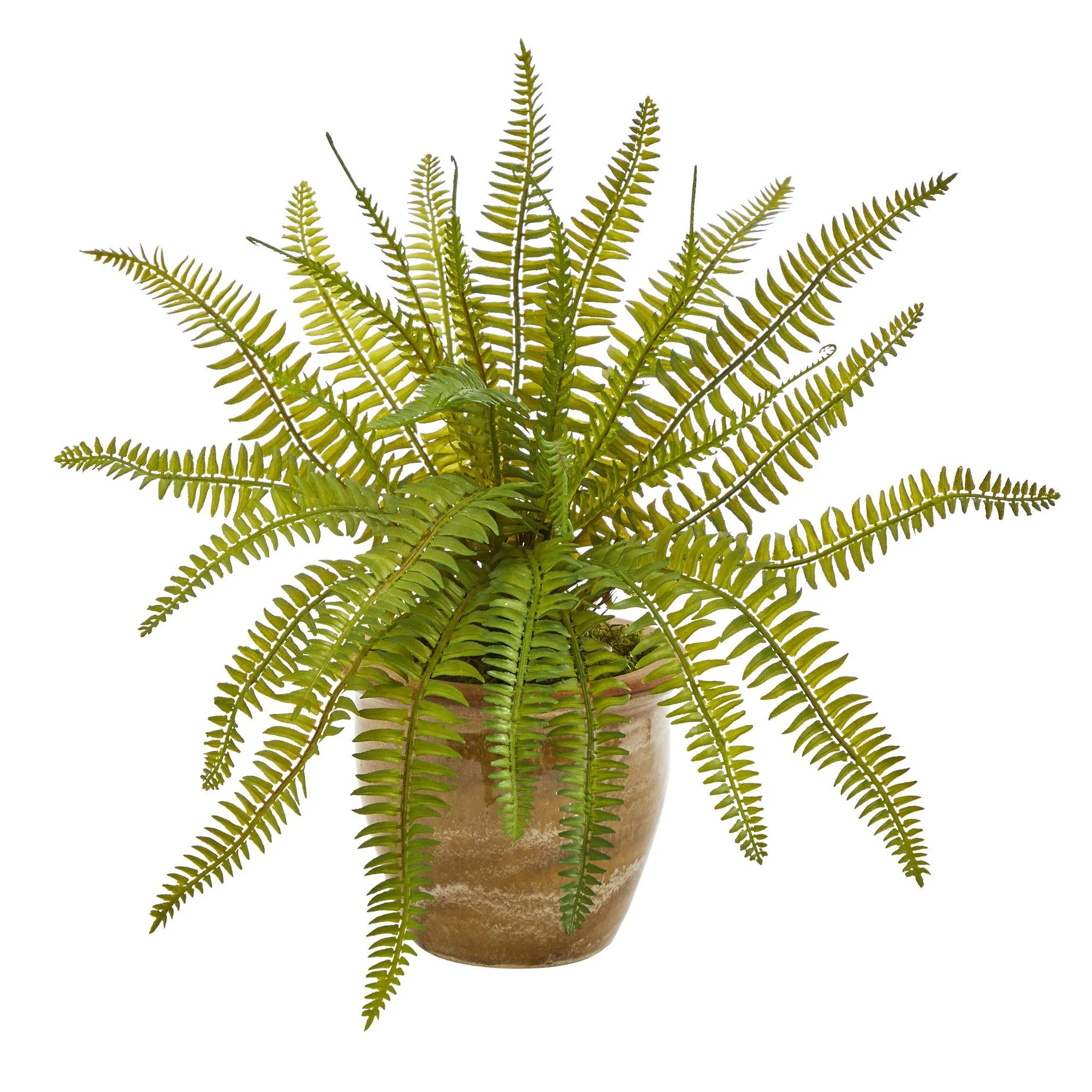 10” Fern Artificial Plant in Ceramic Planter