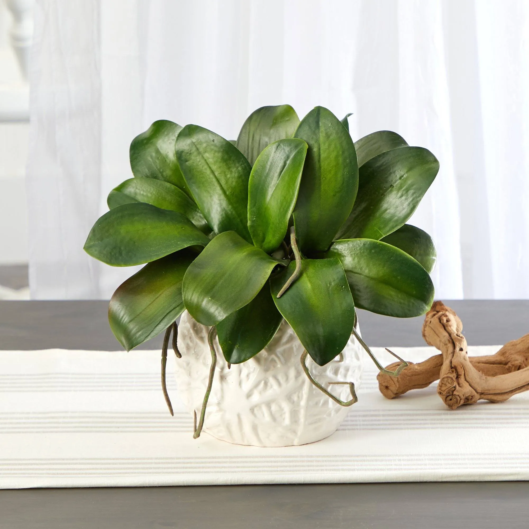 10” Phalaenopsis Orchid Leaf Artificial Plant in White Planter