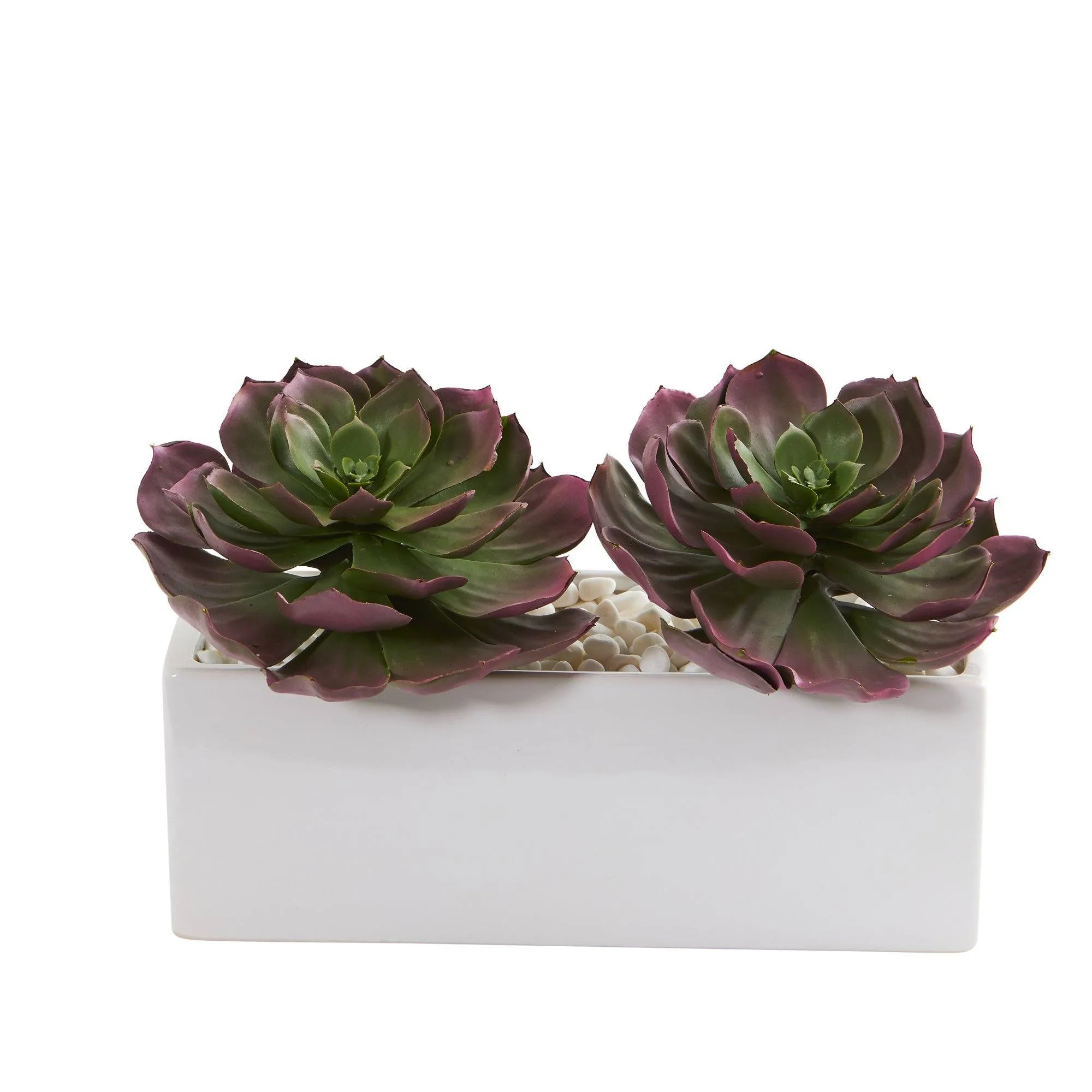 11” Echeveria Succulent Artificial Plant in White Planter