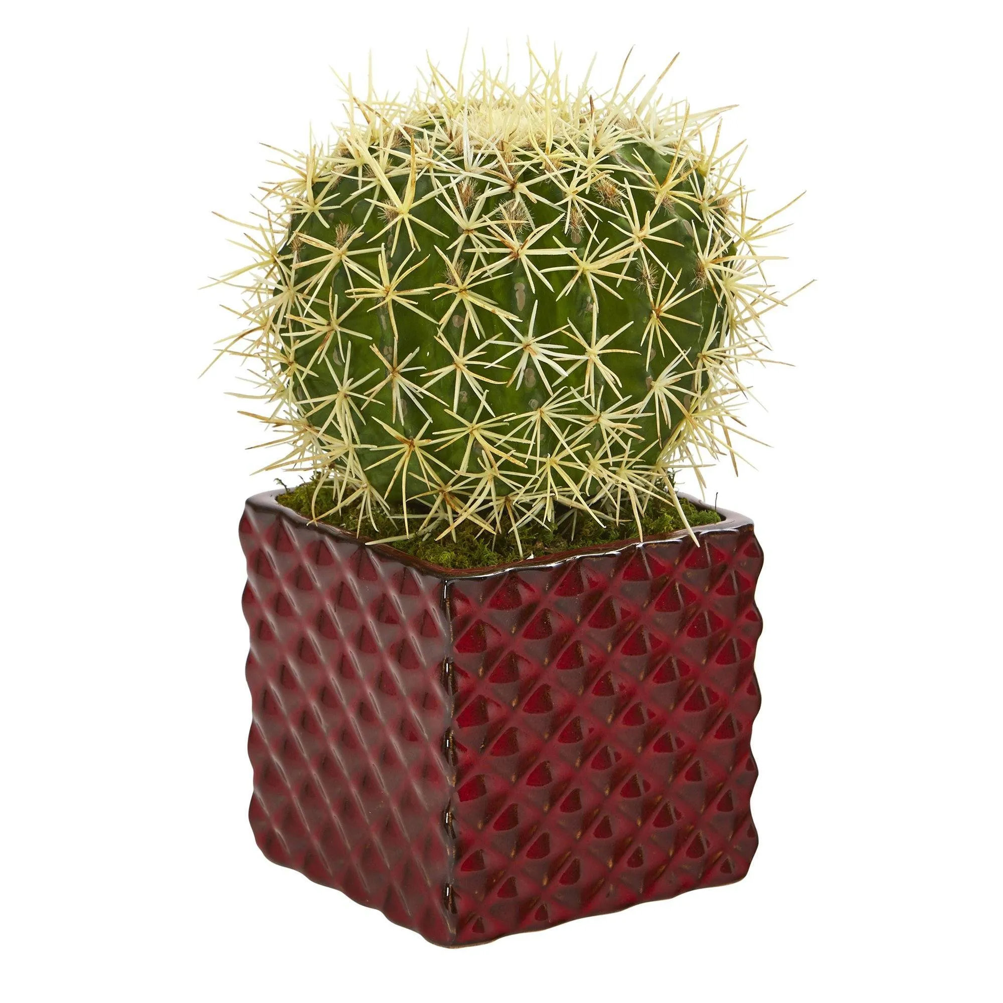 12” Cactus Succulent Artificial Plant in Red Ceramic Vase