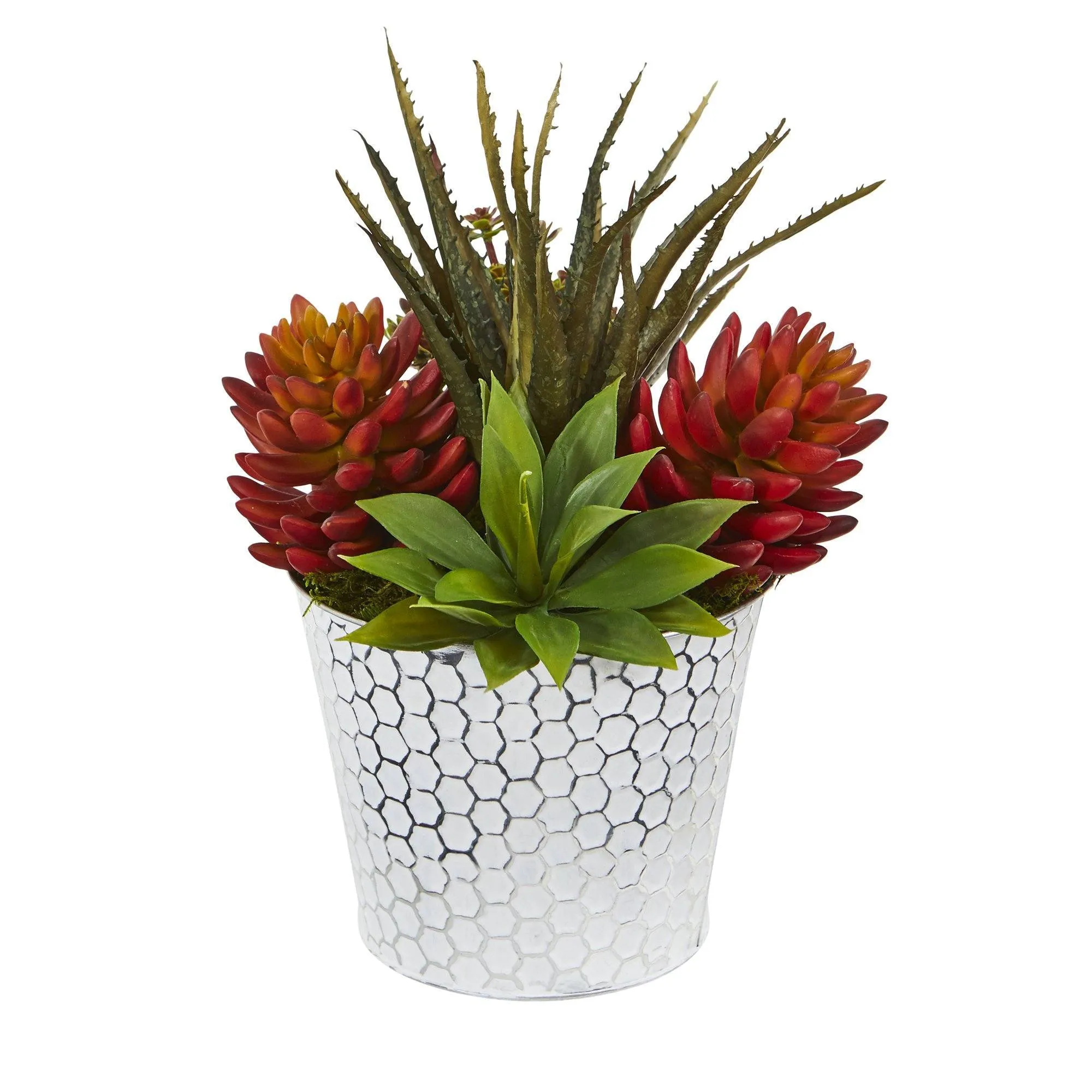 12” Mixed Succulent Artificial Plant in Embossed White Planter