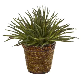 13” Aloe Artificial Plant in Basket