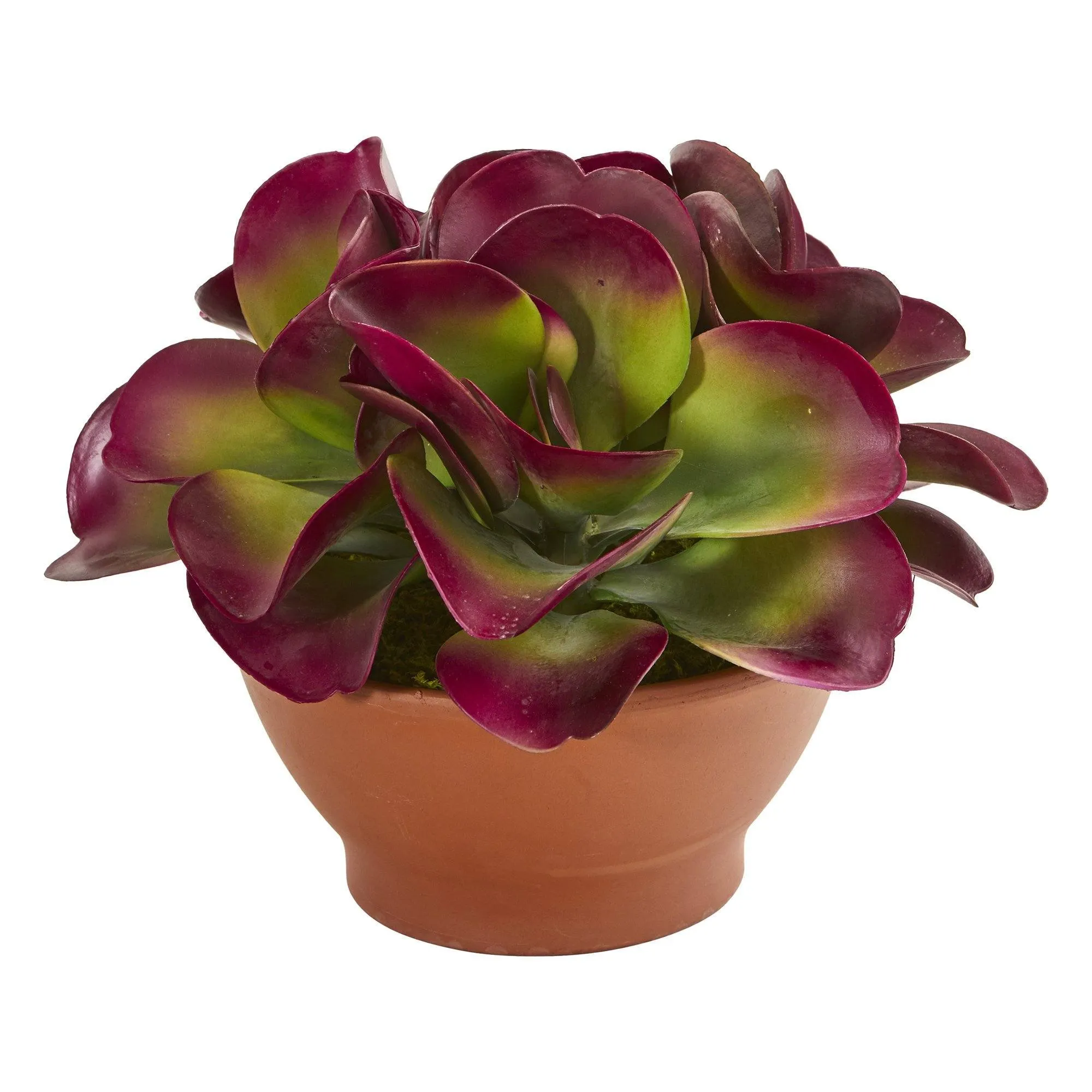 13” Succulent Artificial Plant in Terra-Cotta Planter