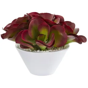 13” Succulent Artificial Plant in White Bowl