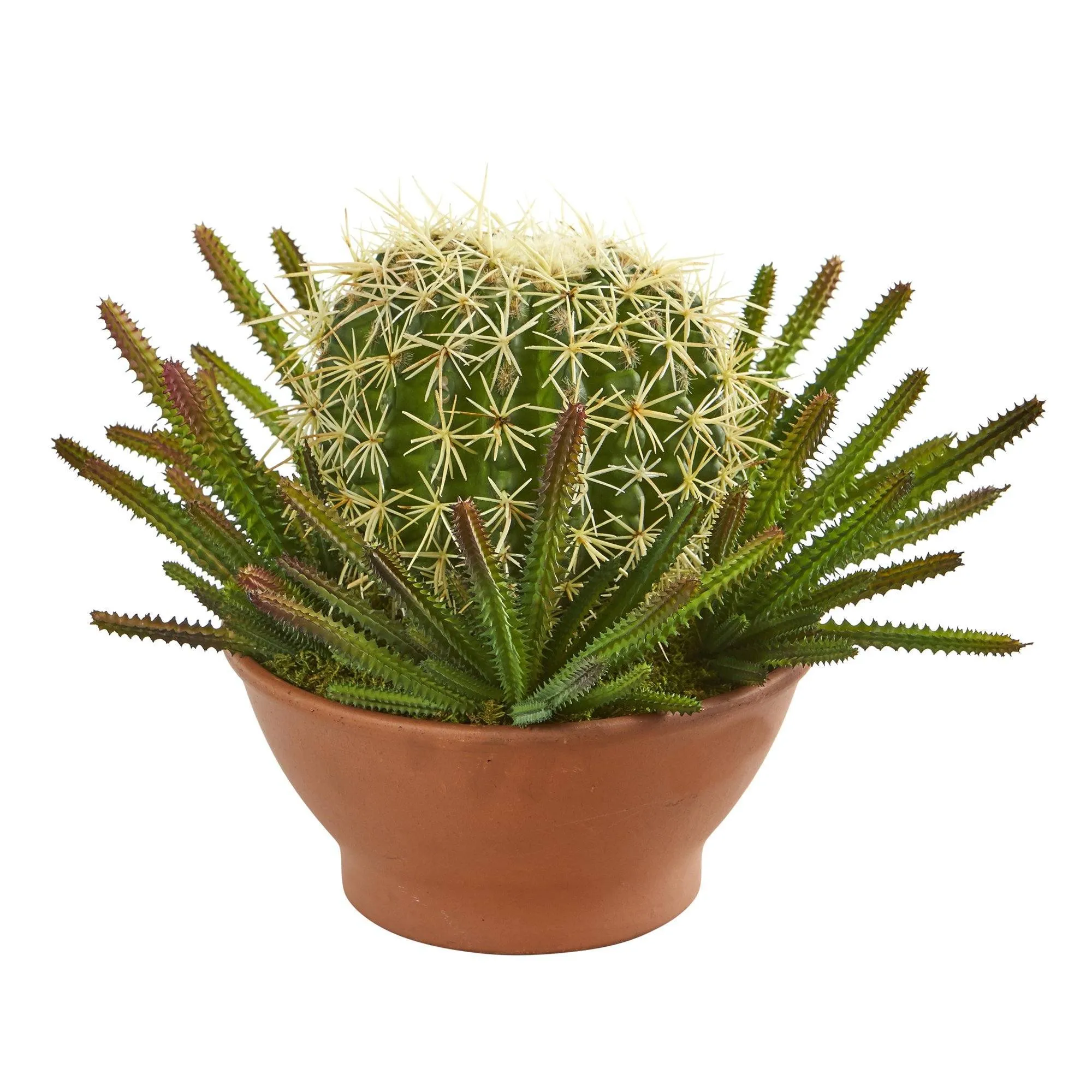 14” Cactus Artificial Plant in Terra-Cotta Planter