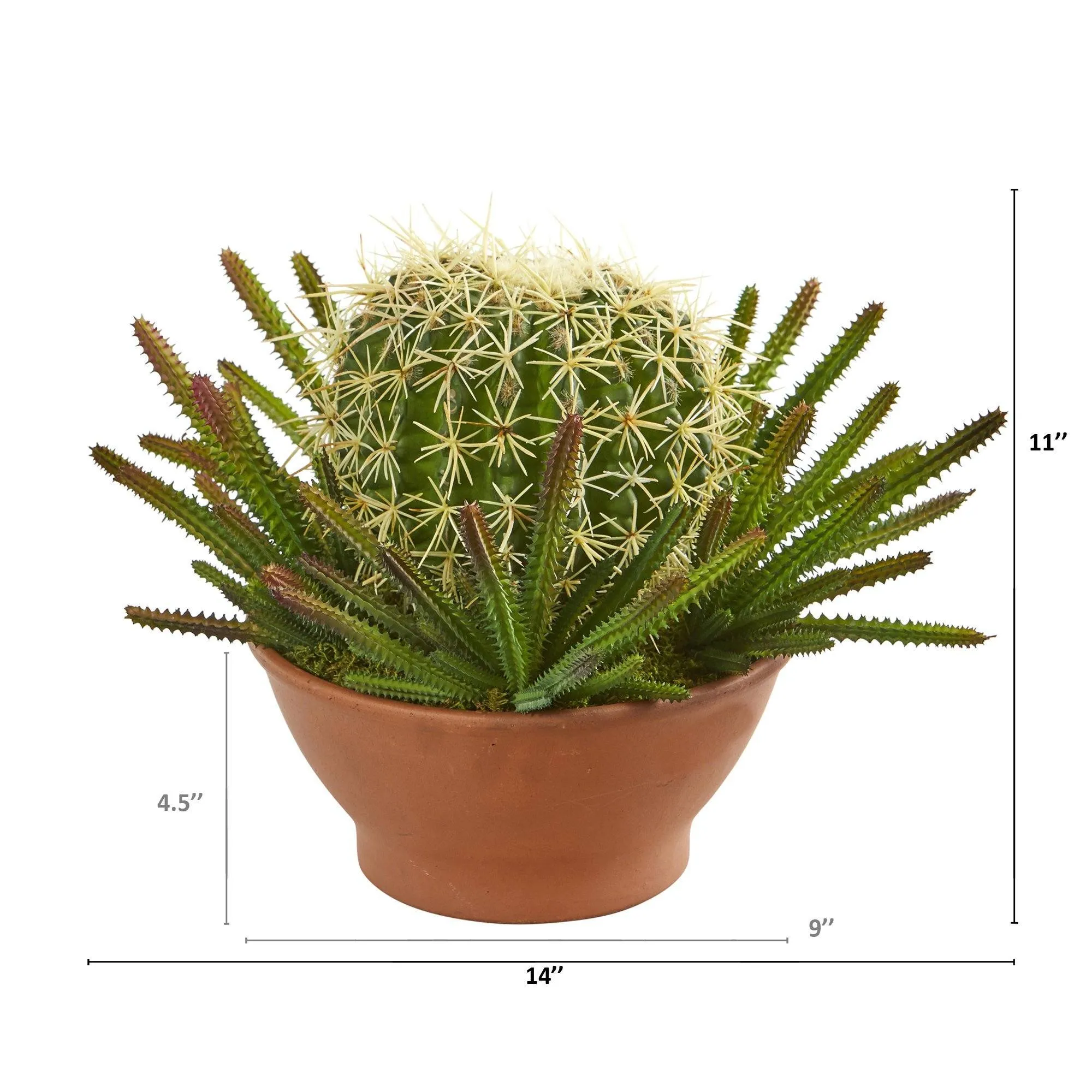 14” Cactus Artificial Plant in Terra-Cotta Planter