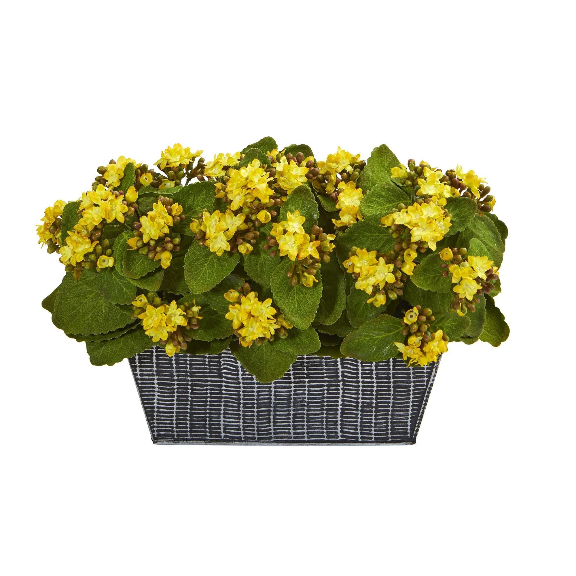 14” Kalanchoe Artificial Plant in Black Embossed Planter