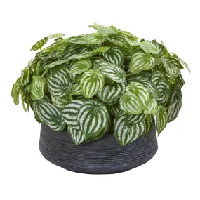 14” Watermelon Peperomia Artificial Plant in Decorative Bowl (Real Touch)