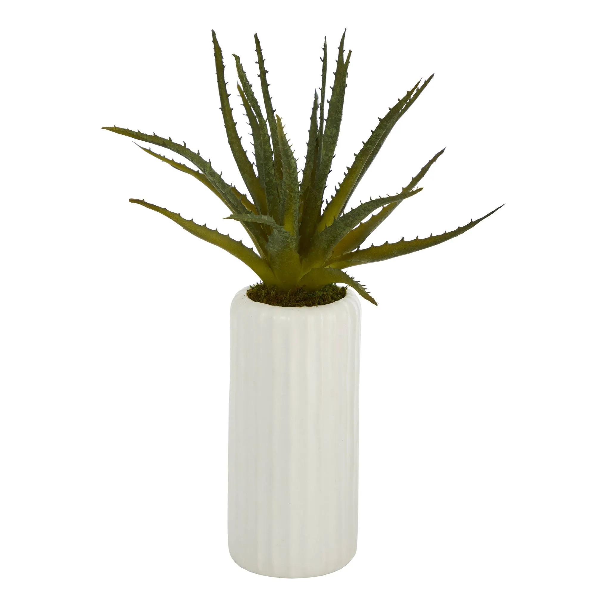 15” Aloe Artificial Plant in White Planter