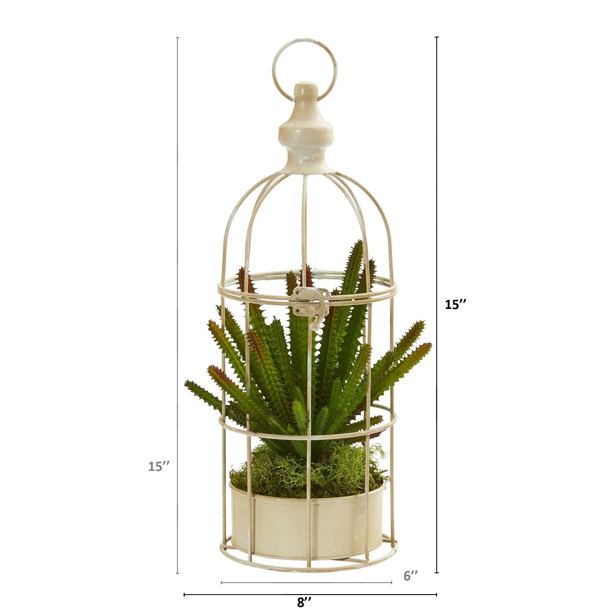 15” Cactus Succulent Artificial Plant in Decorative Cage