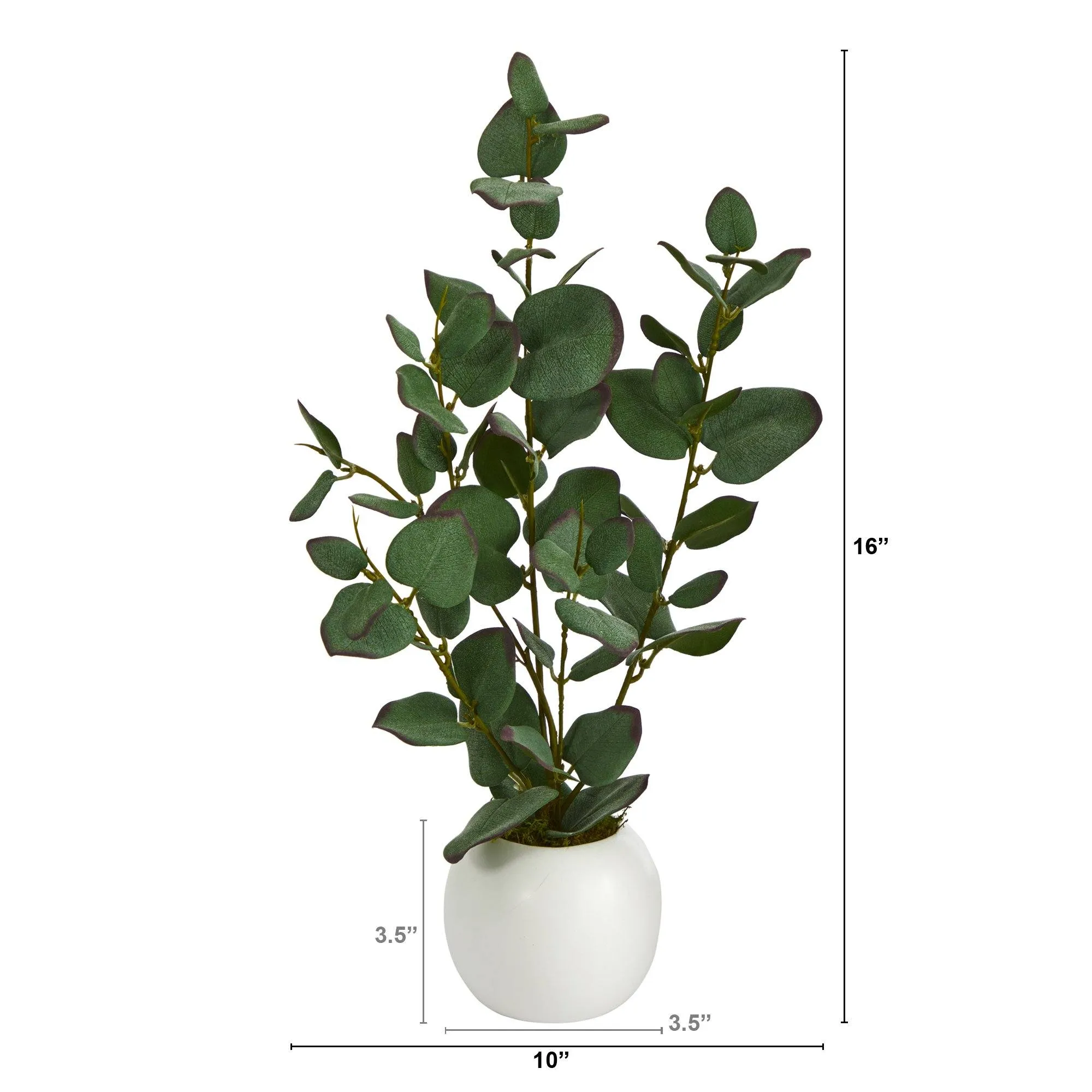 16” Eucalyptus Artificial Plant in White Planter