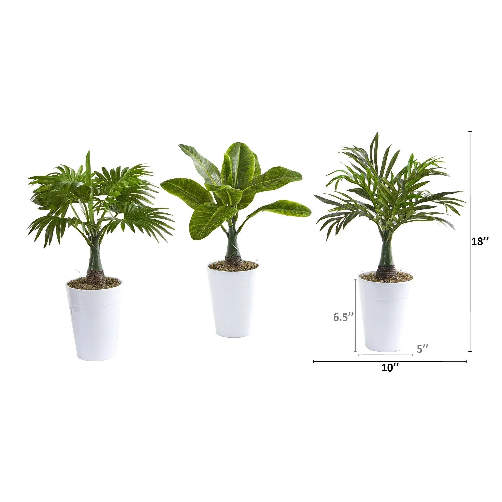 18” Assorted Mini Palm and Banana Artificial Plant in White Planter (Set of 3)