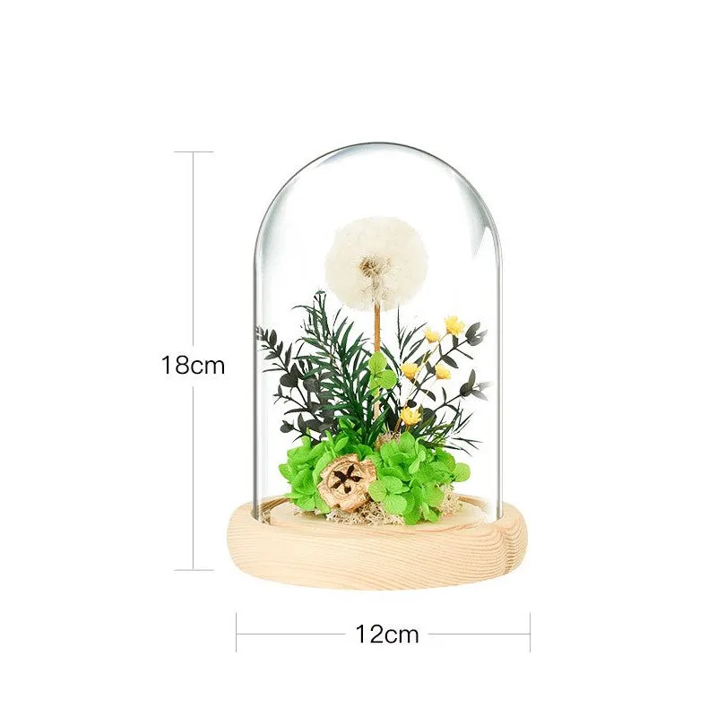 Bulk Dandelion Glass Cover Wooden Night Light Dried Flower Preserved Ornaments Holiday Gifts Wholesale