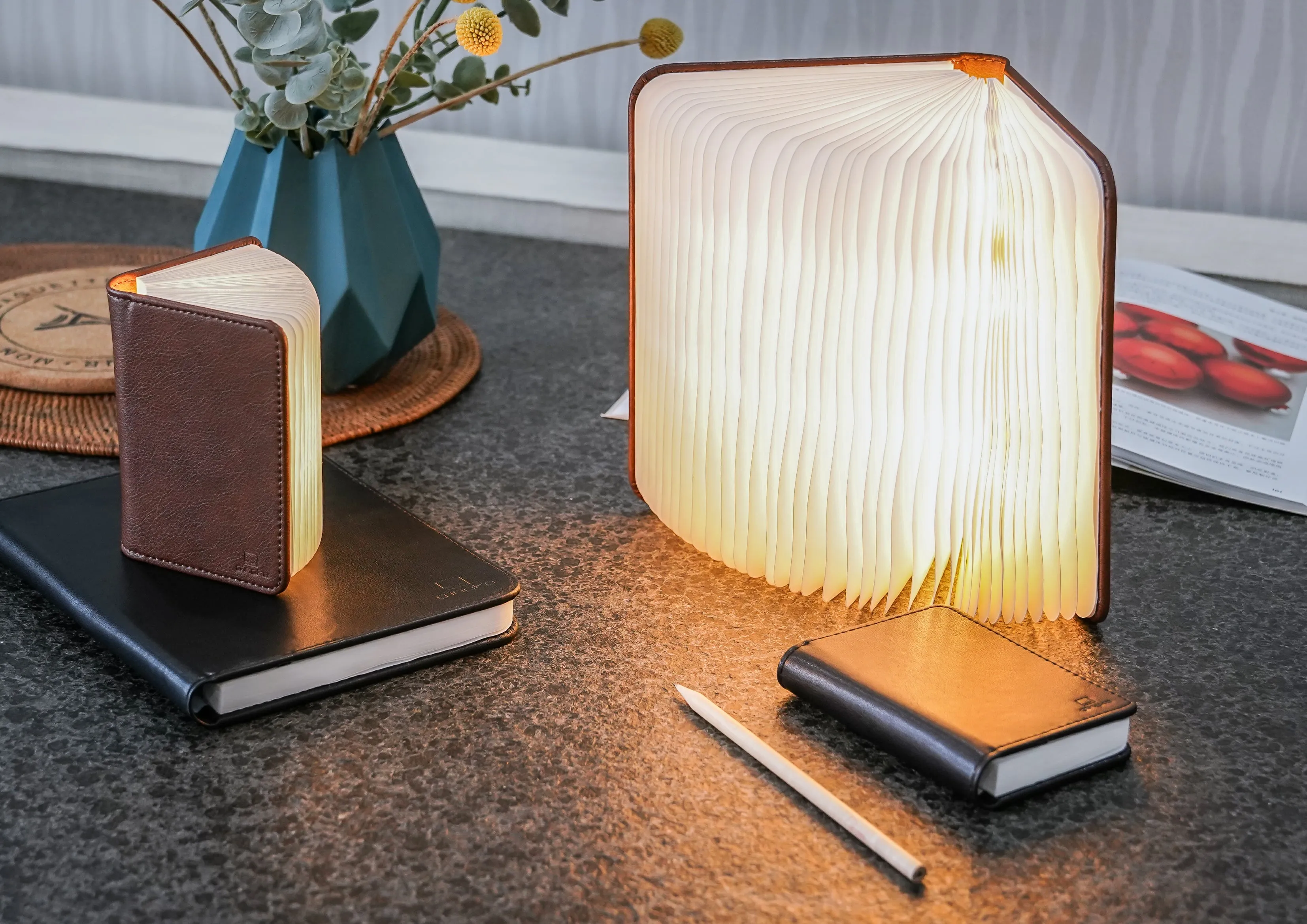 Ging-Ko Large Brown Leather Smart Book Light