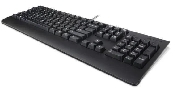 Keyboard Usb Trdtnl Kb Bk Den