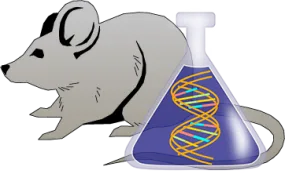 Mouse tPA Genetically Deficient Spleen