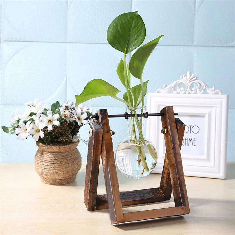 Tabletop Glass Planter or Vase